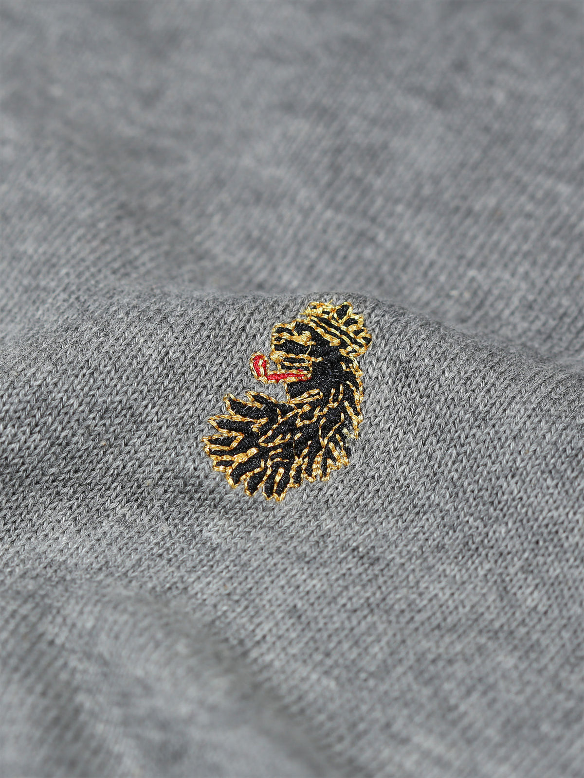 Boy's garment with crew neck and cotton, lion motif detail view