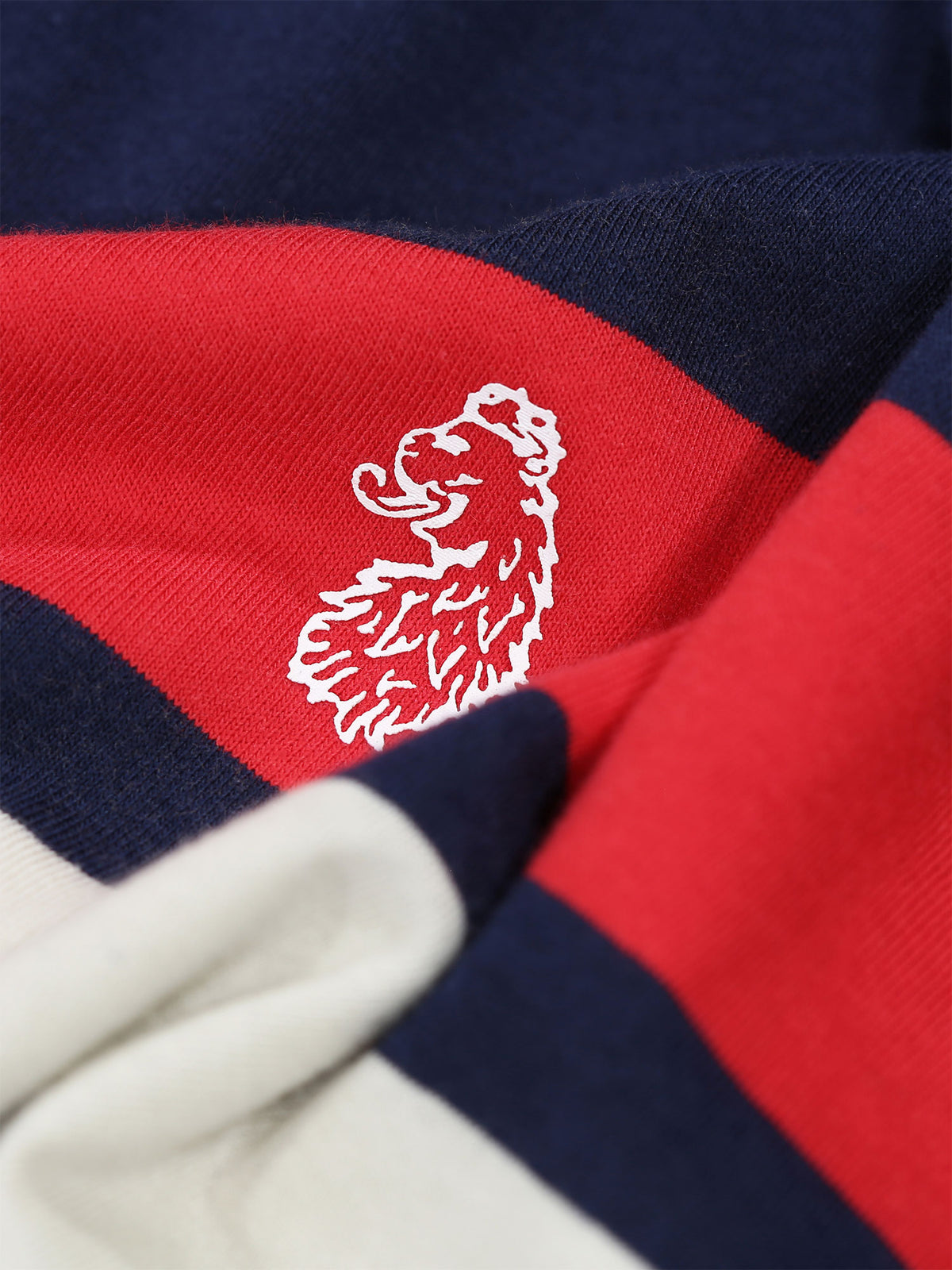 Boy's t-shirt with crew neck and cotton, lion motif detail view