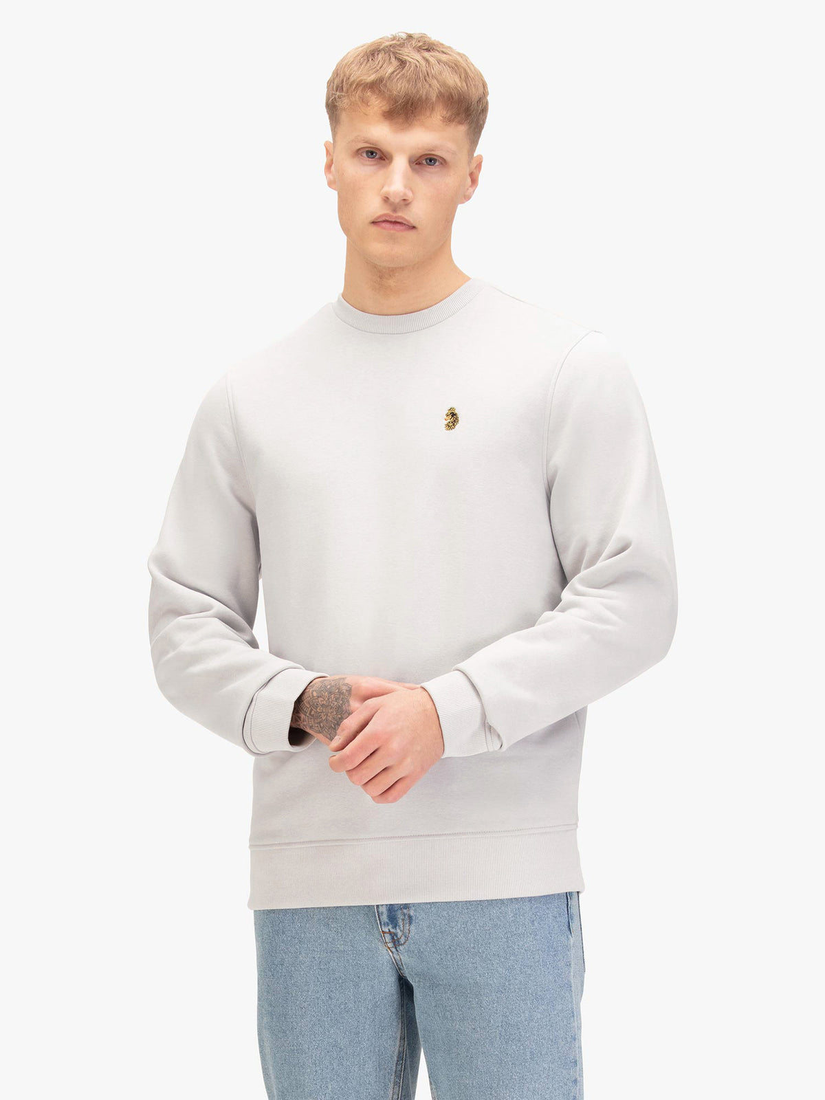 Men's grey sweatshirt with crew neck, worn by a model, front view