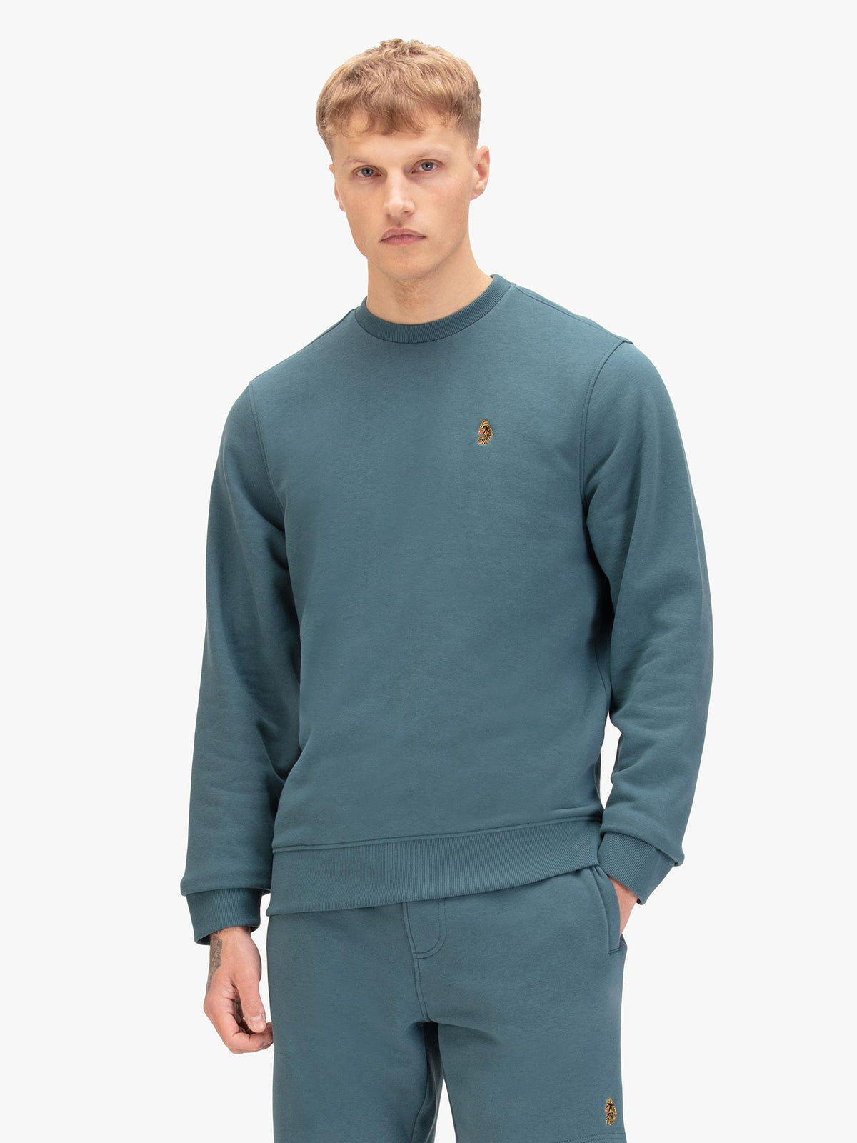 Men's blue sweatshirt with crew neck, front view