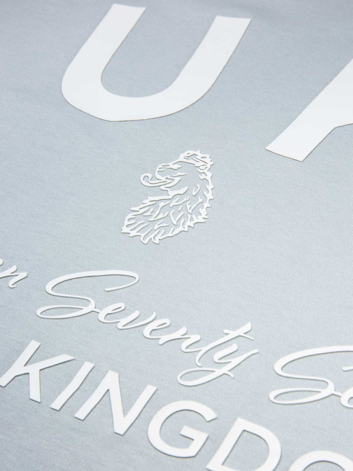 Men's relaxed-fit blue t-shirt with crew neck and short sleeves, detail view 4