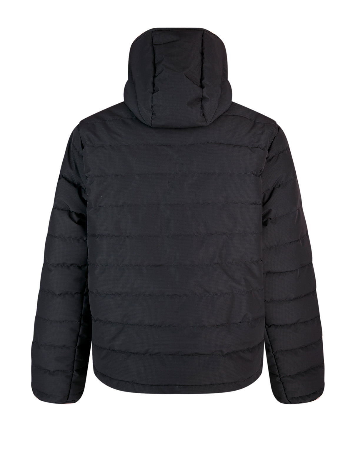 Back of black LUKE 1977 Mayor Of Cantoria hooded padded jacket