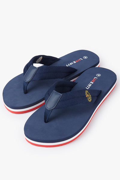 Men's navy footwear.
