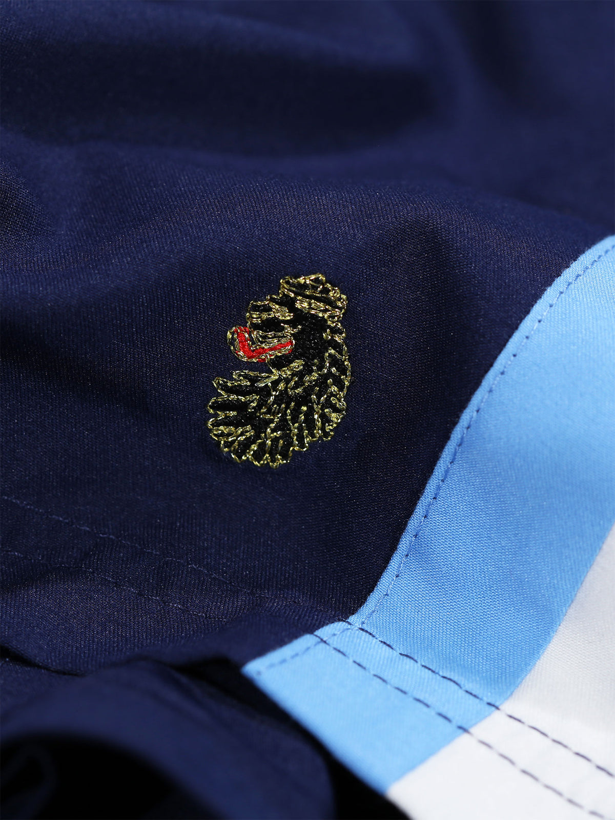 Boy's shorts with jersey and striped, lion motif detail view