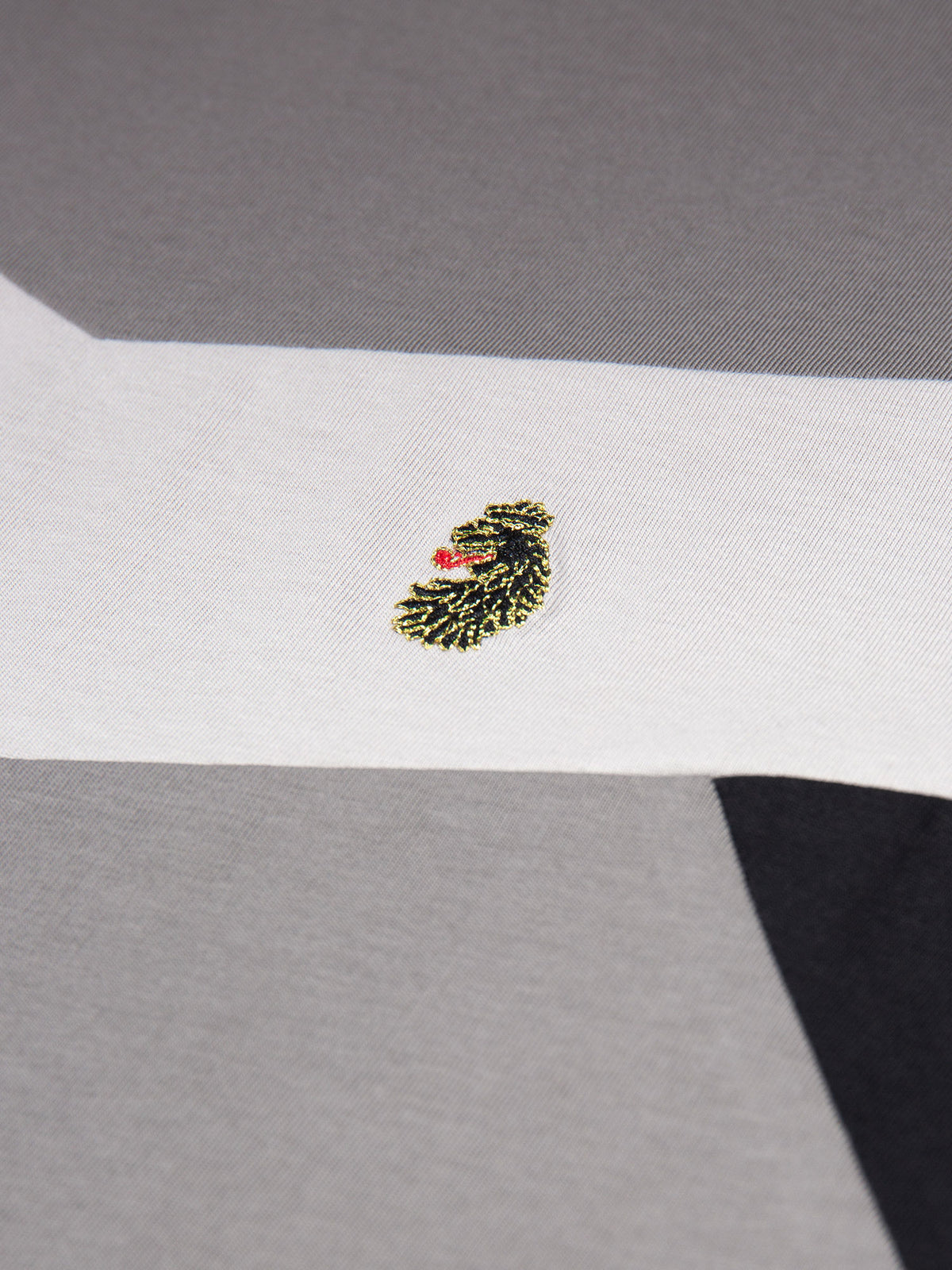 Boy's grey t-shirt with crew neck and cotton, lion motif detail view