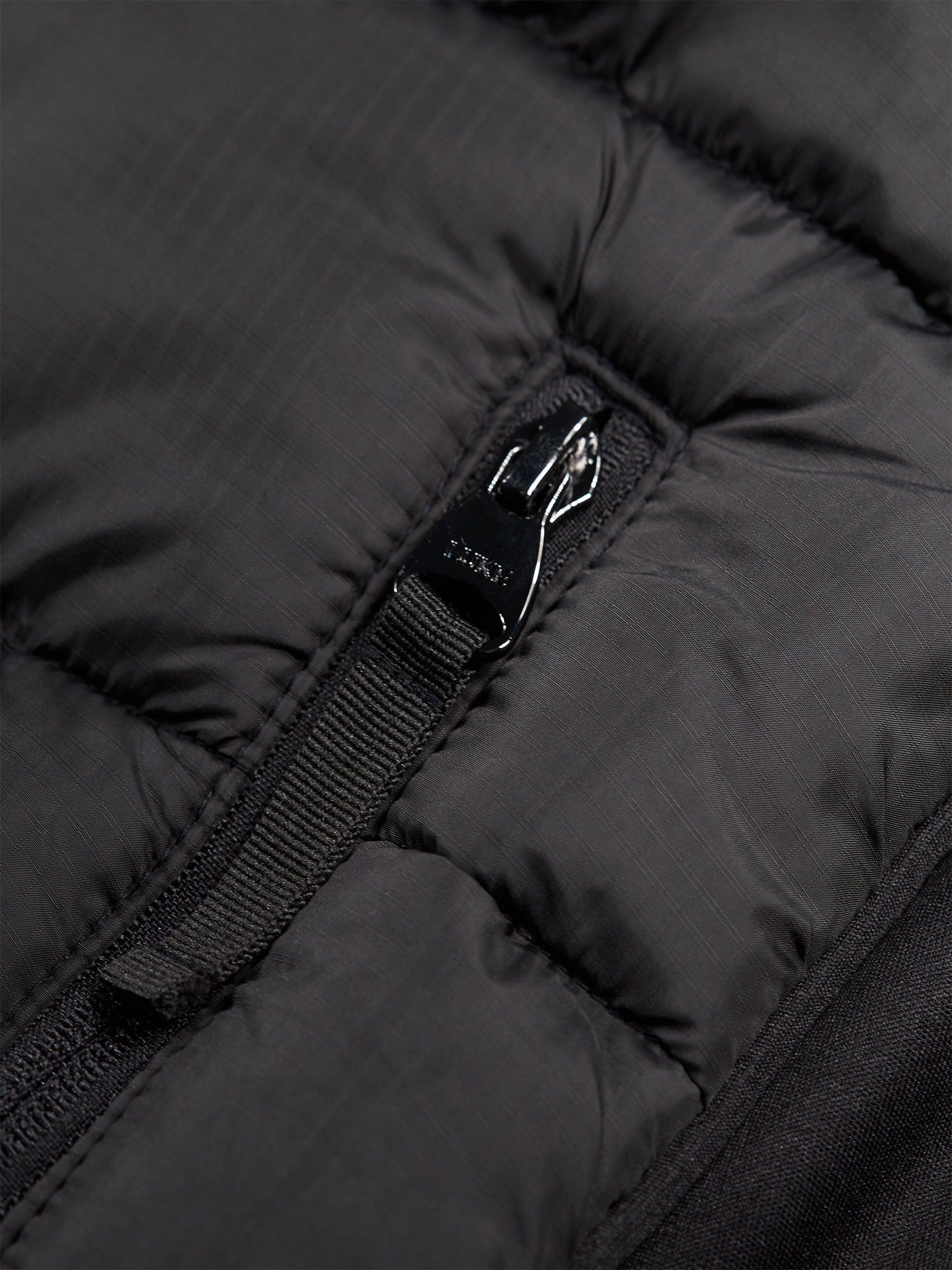 BOLOGNA MAGGIORE JACKET