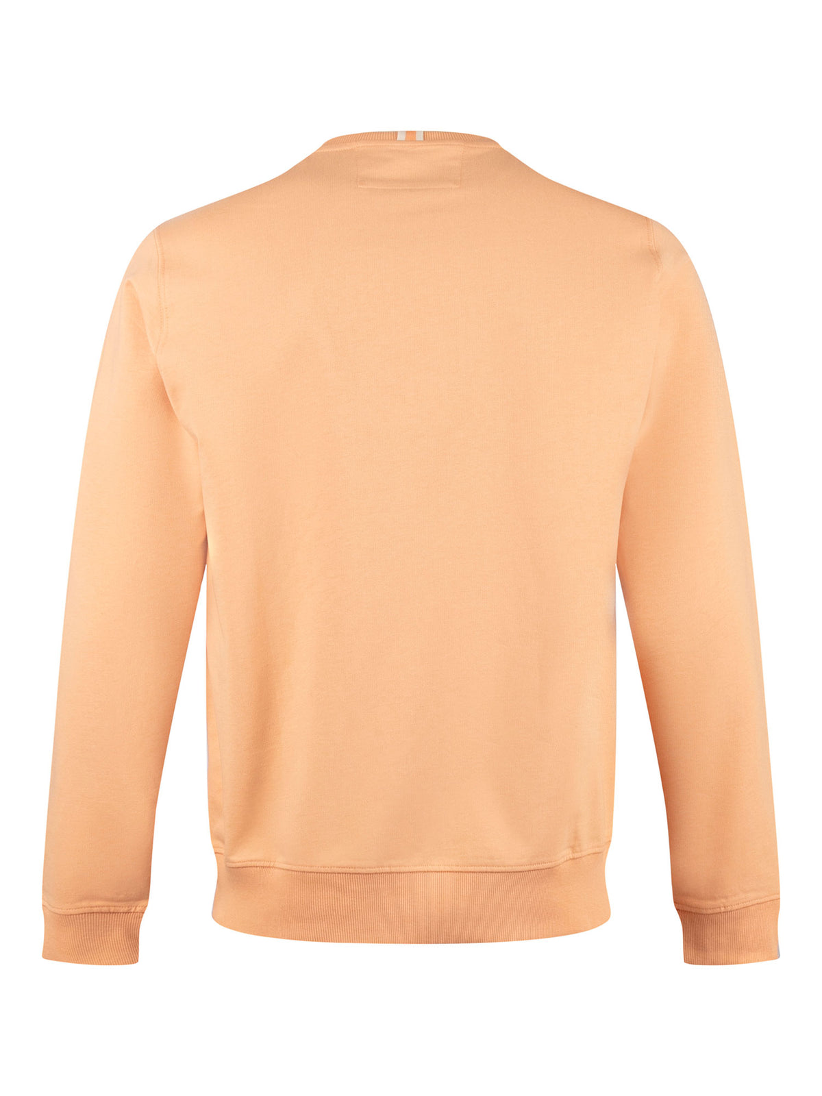 ARBOR SWEATSHIRT