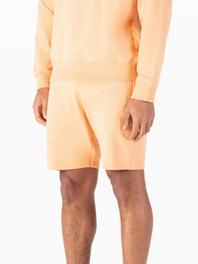 INDEX SHORTS