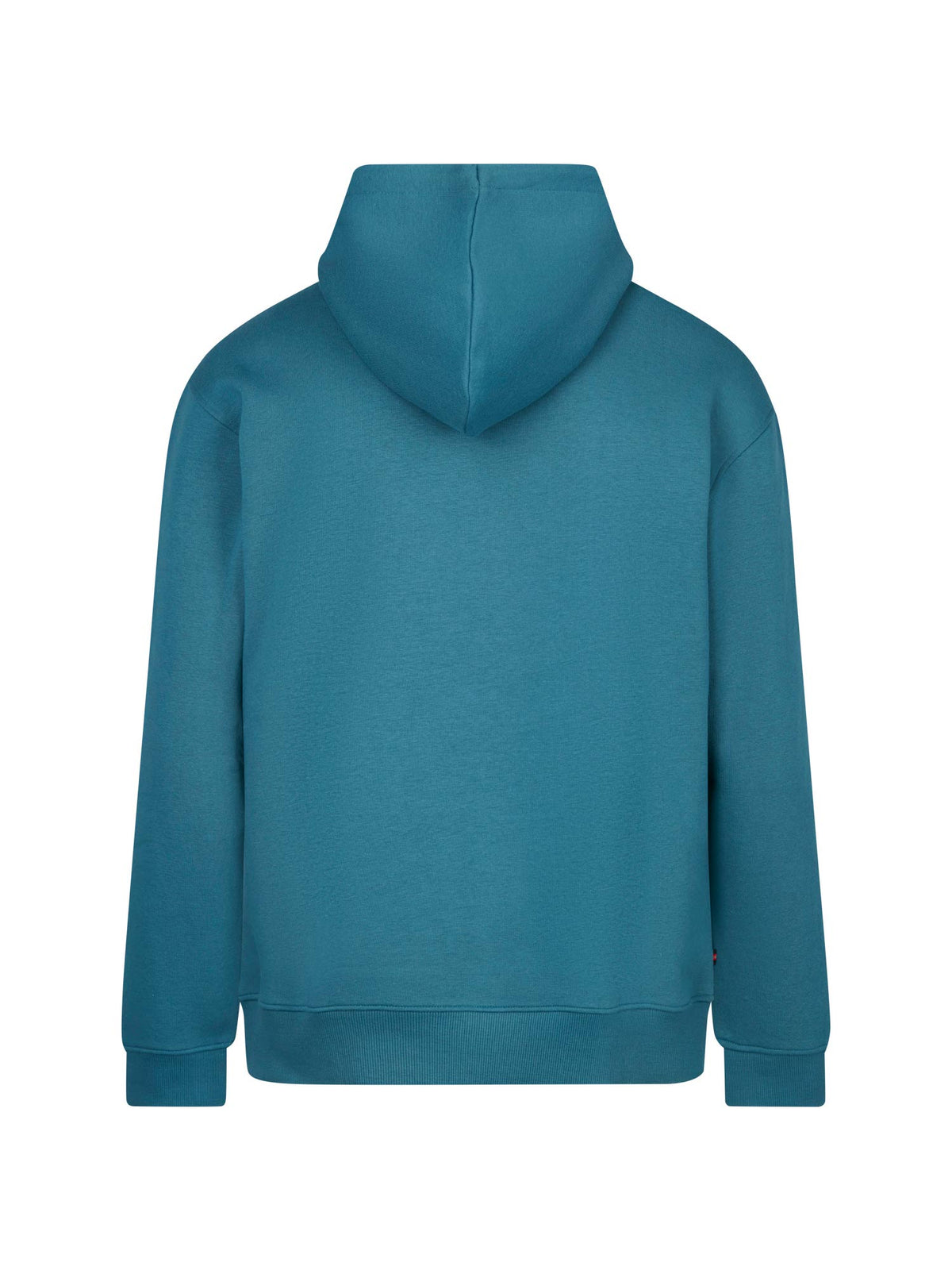 Men's relaxed-fit blue hoodie with front pocket and drawstring hood, back view