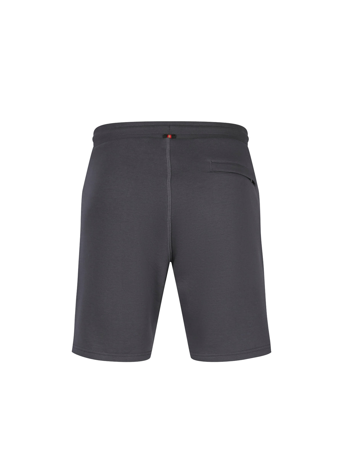 Men's grey shorts with drawstring waistband, back view