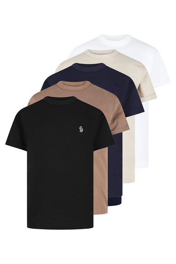 Boy's multicolour 5-pack t-shirt with crew neck and jersey, front view