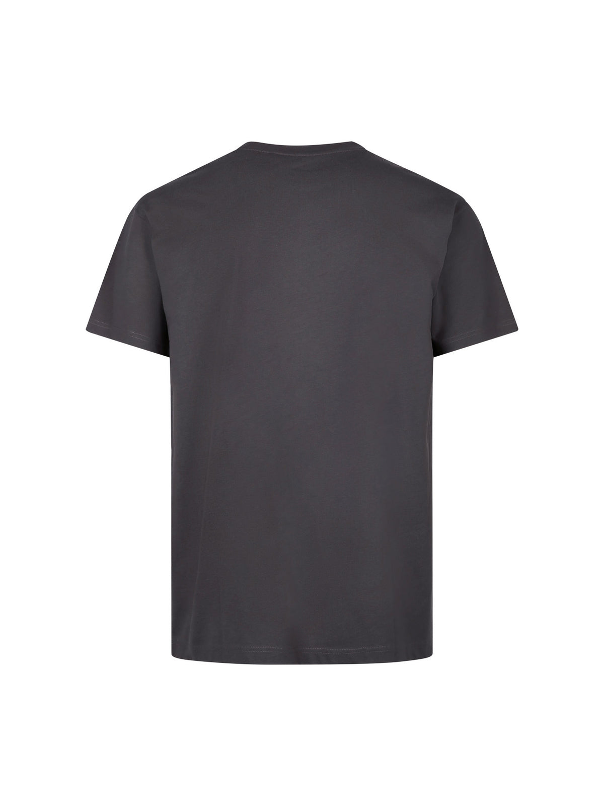 Men's relaxed-fit grey t-shirt with crew neck and short sleeves, back view