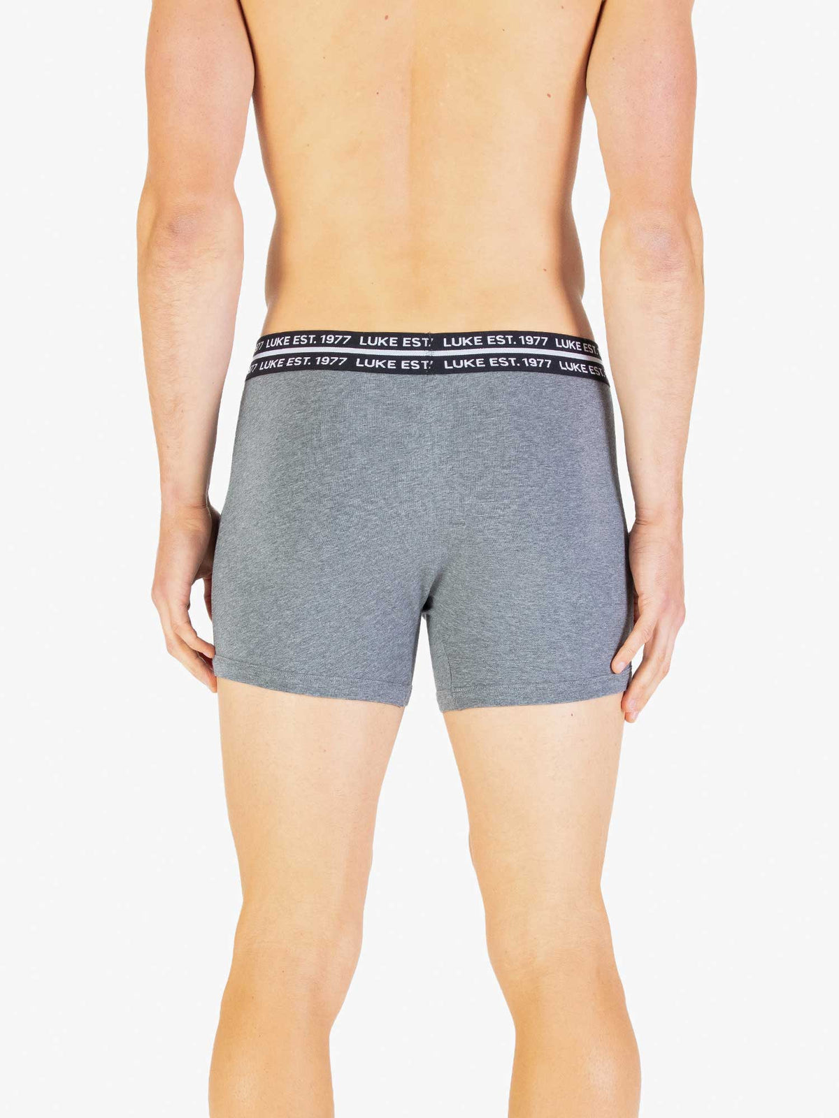 Back view of grey LUKE 1977 Captain boxers worn by model