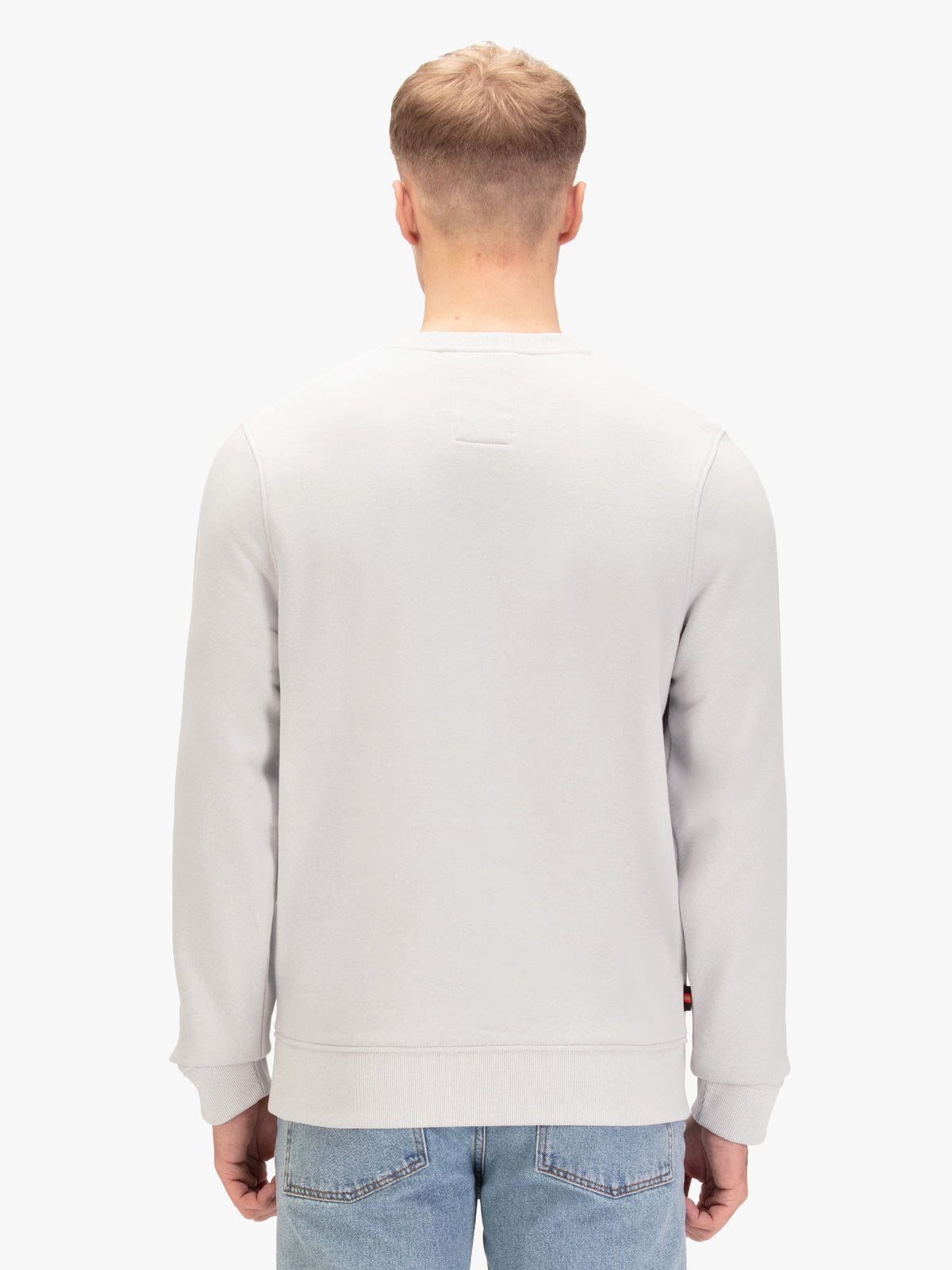 Men's grey sweatshirt with crew neck, worn by a model, back view