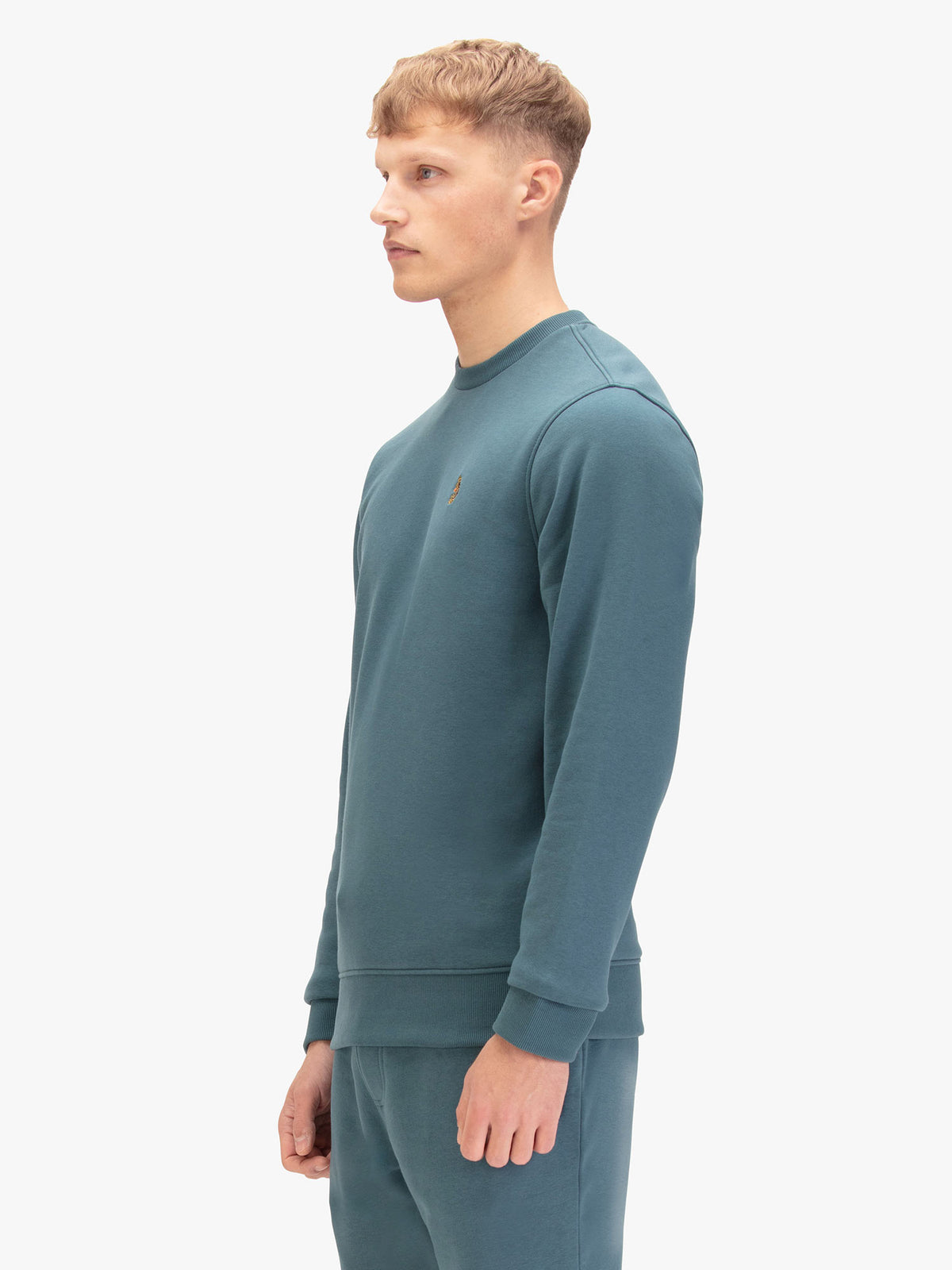 Men's blue sweatshirt with crew neck, back view