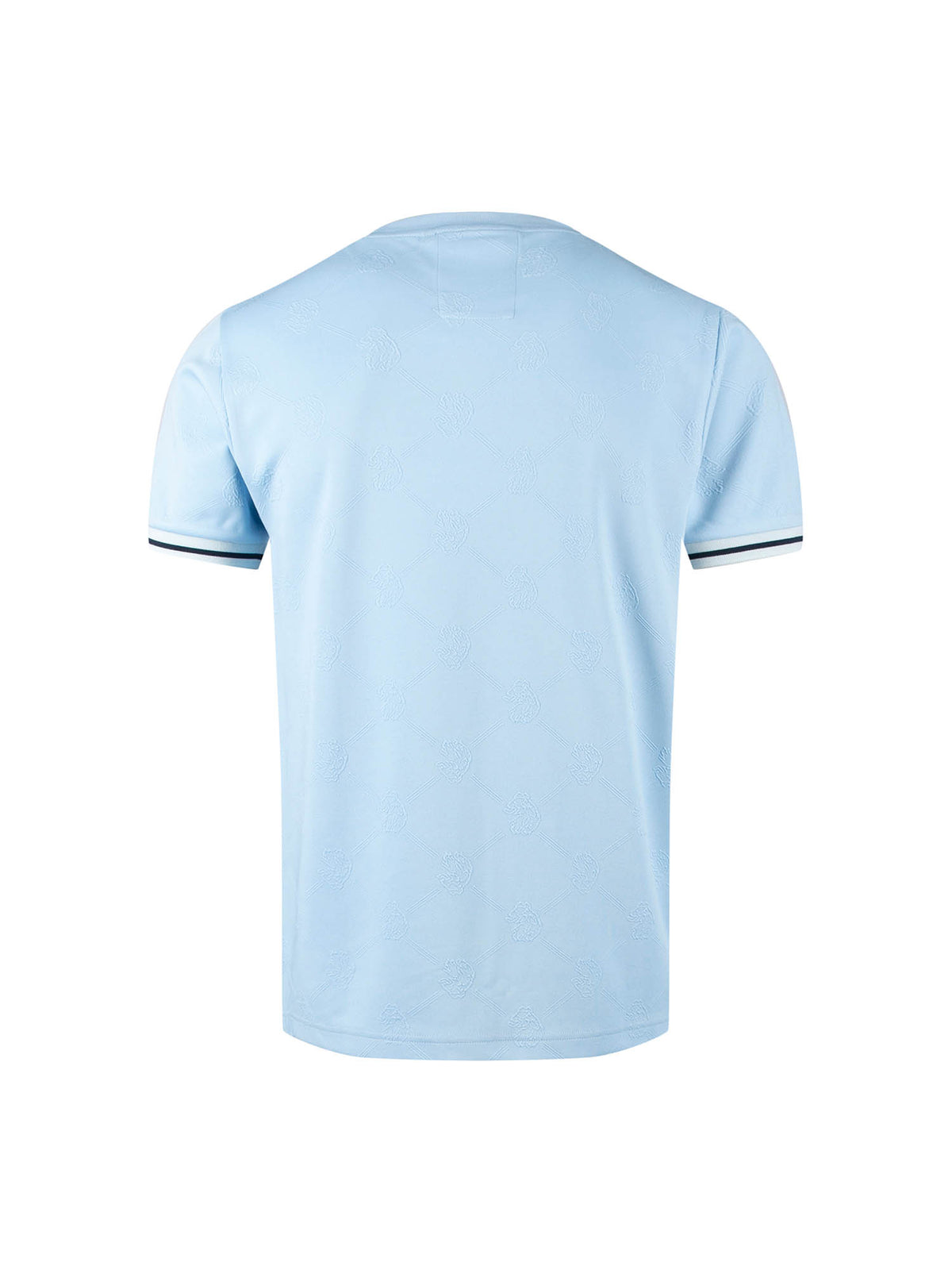 Men's blue t-shirt with crew neck and short sleeves worn by a model - front view.
