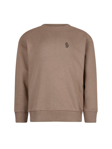 Boy's brown sweatshirt with crew neck and cotton, front view
